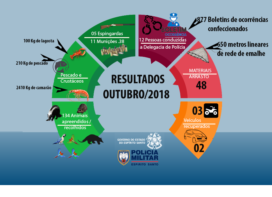 materia13mes112018