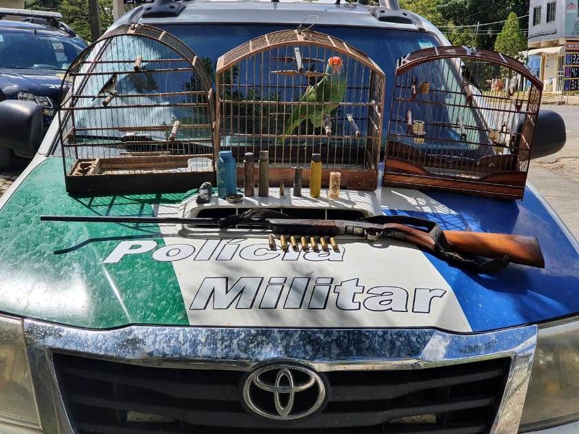 materia167mes072020edit
