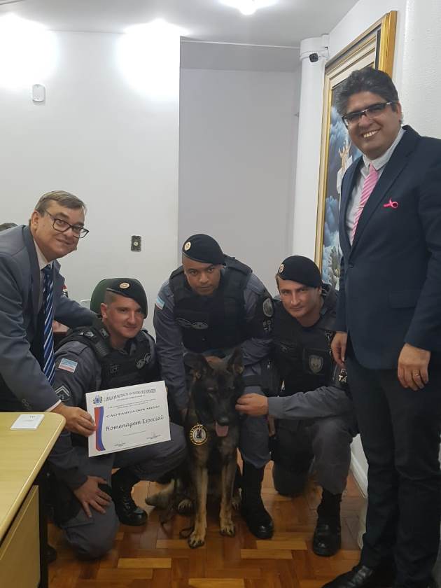materia22mes102019
