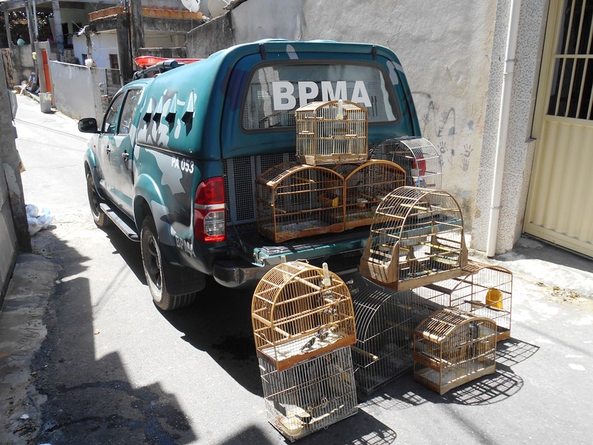 materia53mes102019