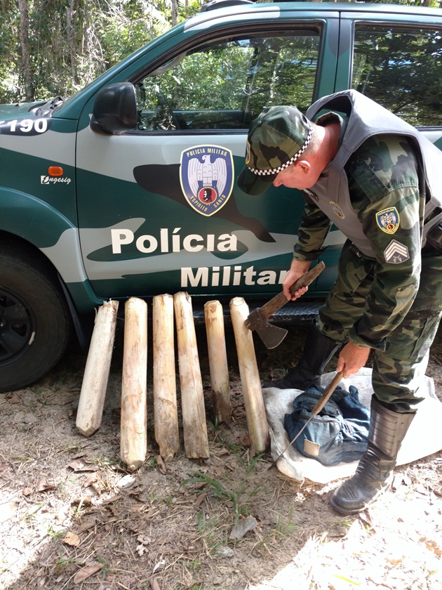 materia99mes022019_